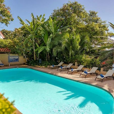 Villa Albatroz カニコ エクステリア 写真